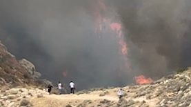 צילום: דוברות המשטרה